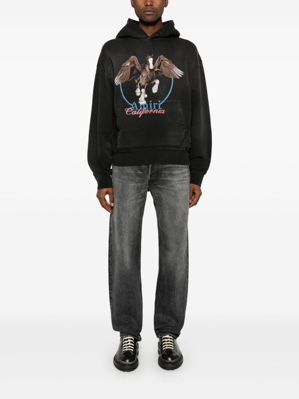 Pegasus hoodie - 2