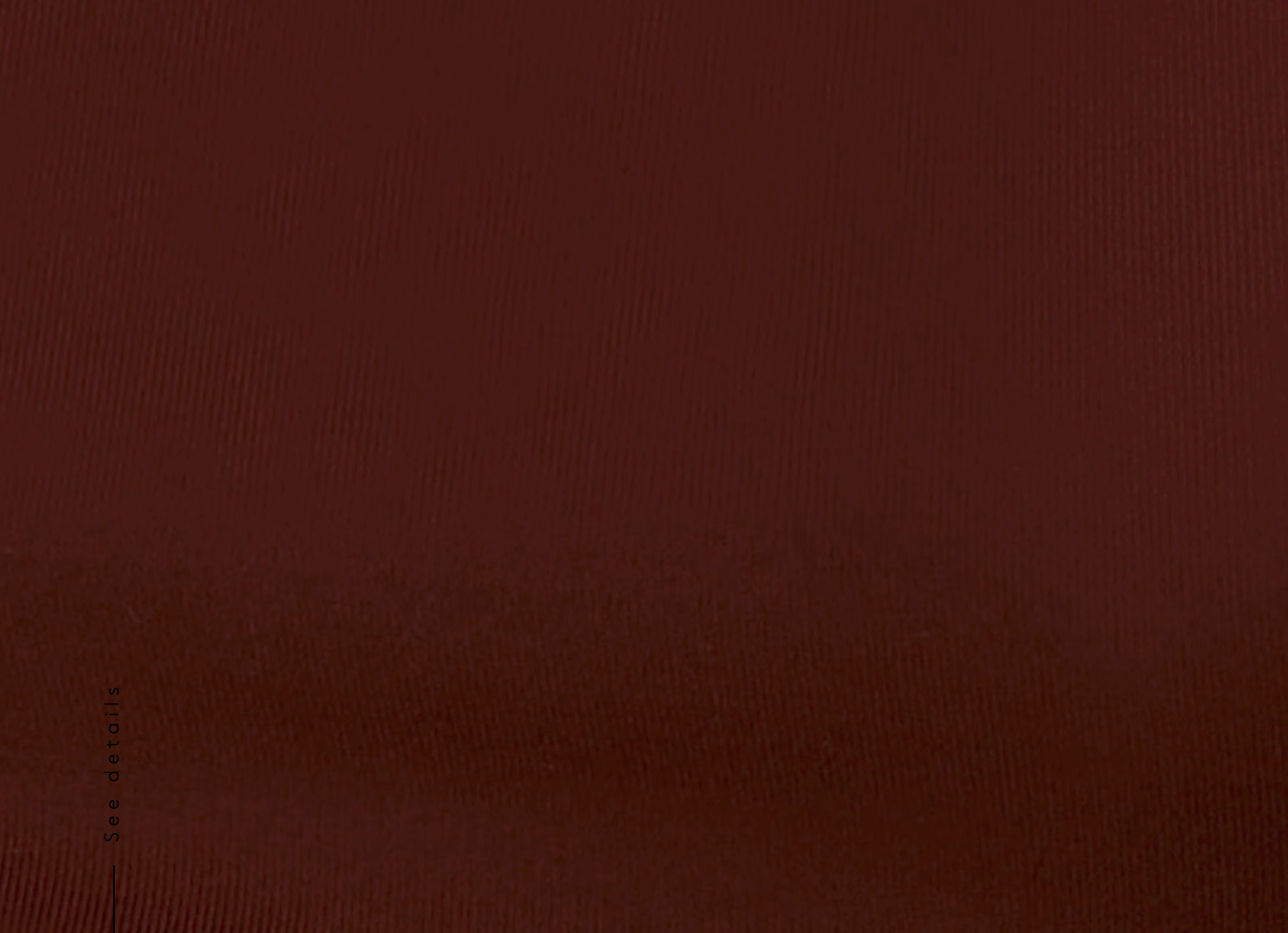 Exquise Thin Brief - 4