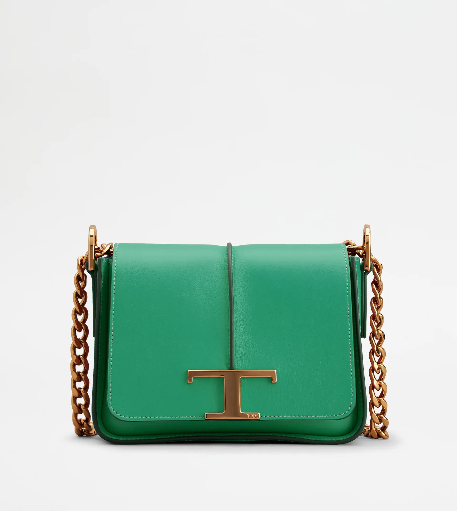 TIMELESS CROSSBODY BAG IN LEATHER MINI - GREEN 1
