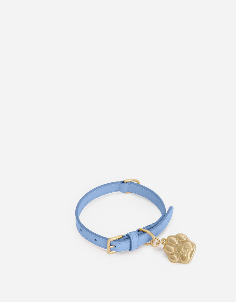 Dog collar 1