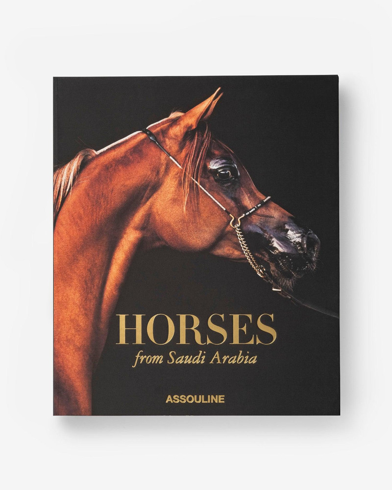 Horses from Saudi Arabia 3