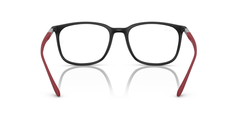 RB7199 OPTICS LITEFORCE 6