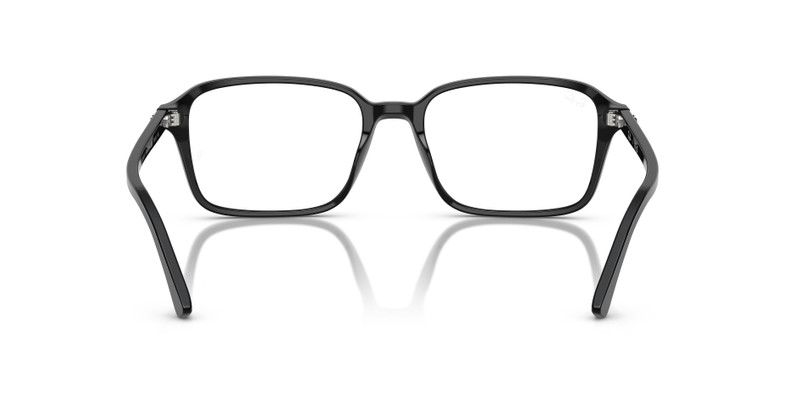RAIMOND OPTICS 6