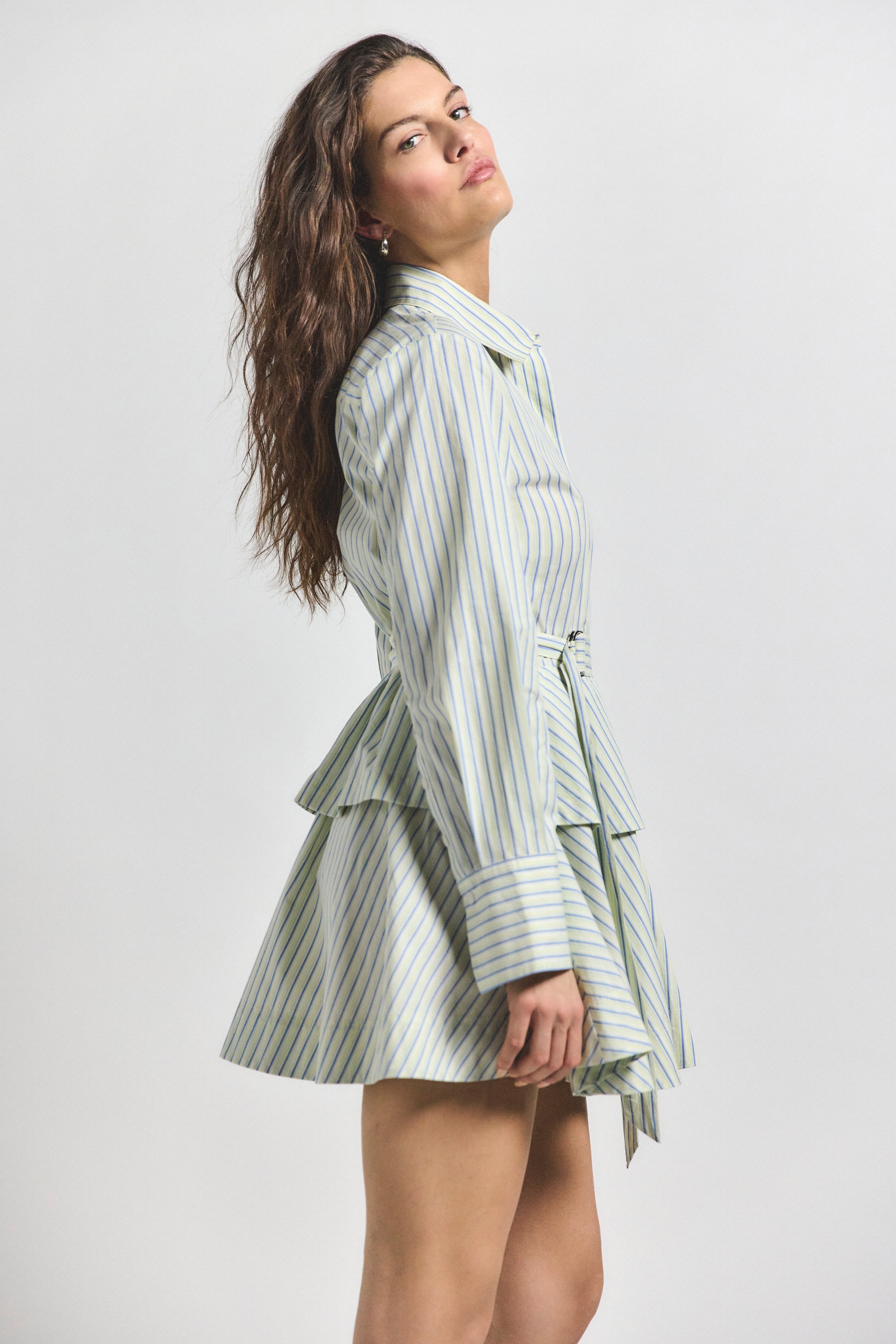 KATHERINE BELTED BUTTON DOWN DRESS - 4