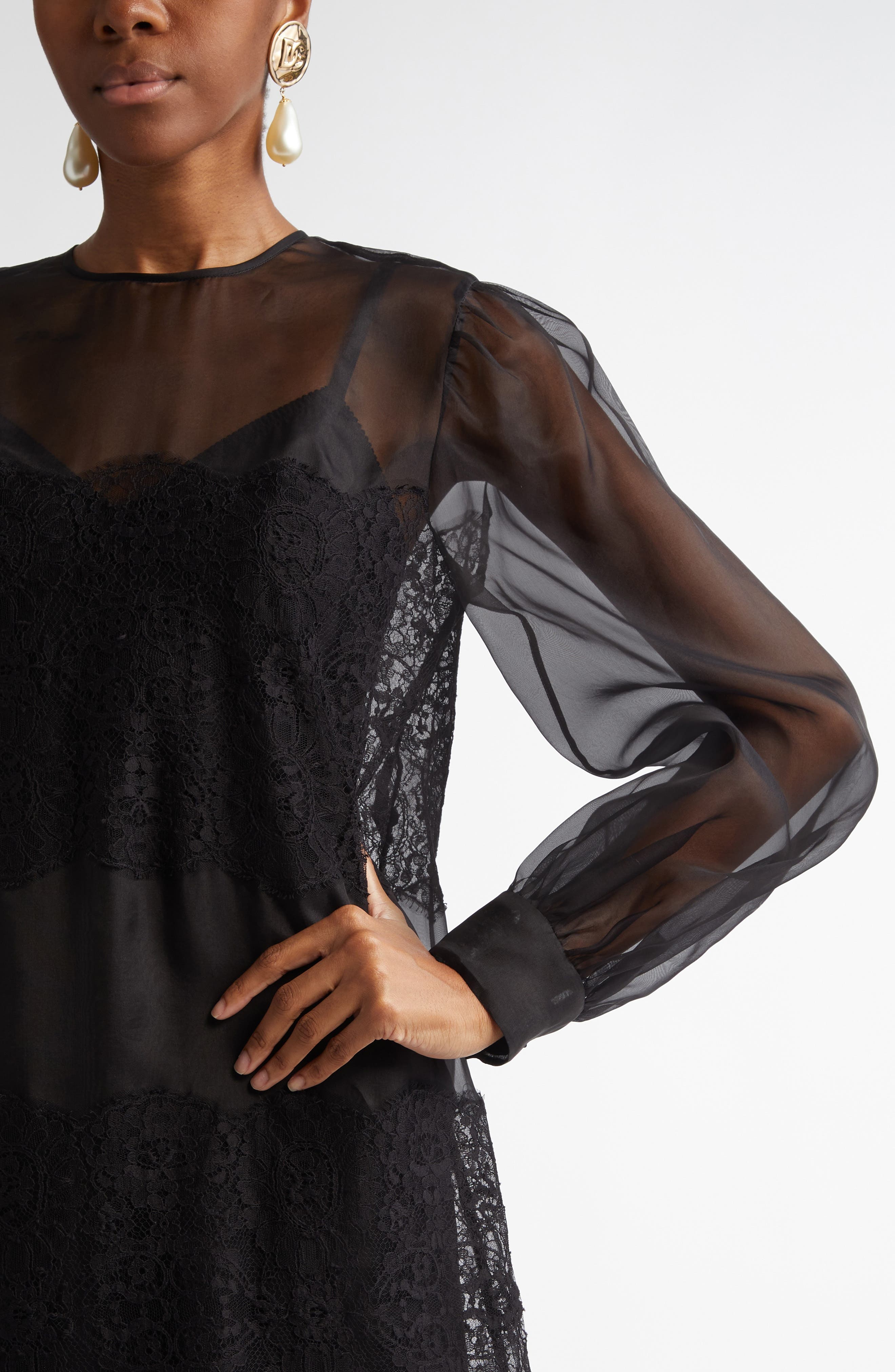 Dolce&Gabbana Lace Paneled Long Sleeve Sheer Silk Blend Organza Dress in N0000 Nero at Nordstrom - 4