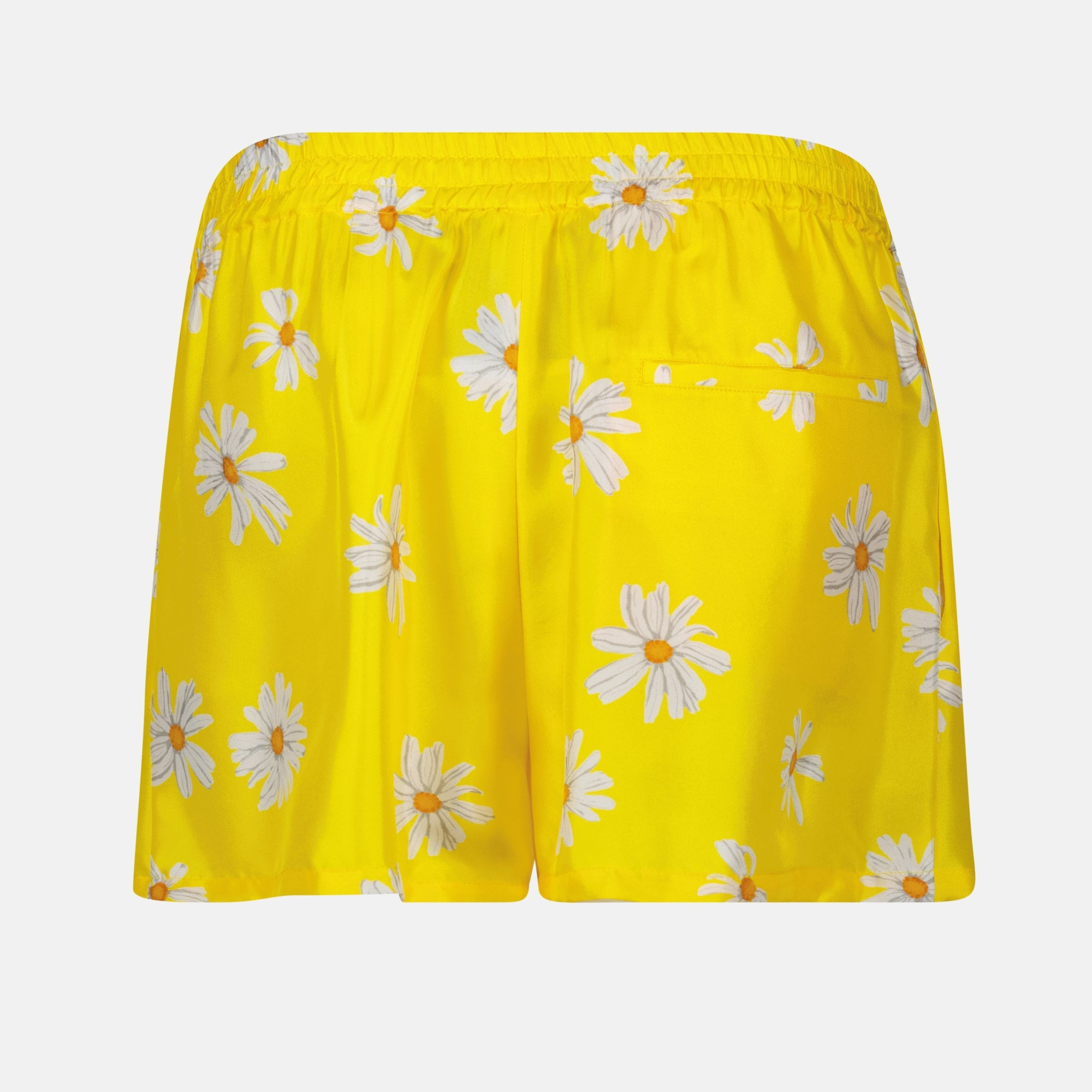 Short marguerites - 2