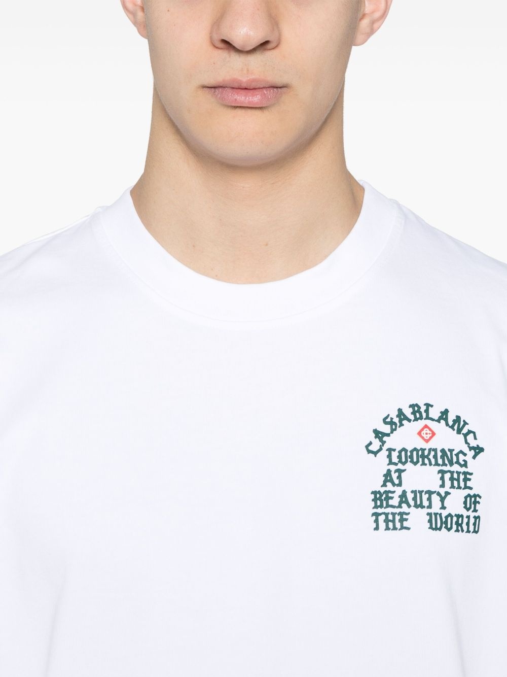 Looking At The Beauty Of The World T-shirt - 4