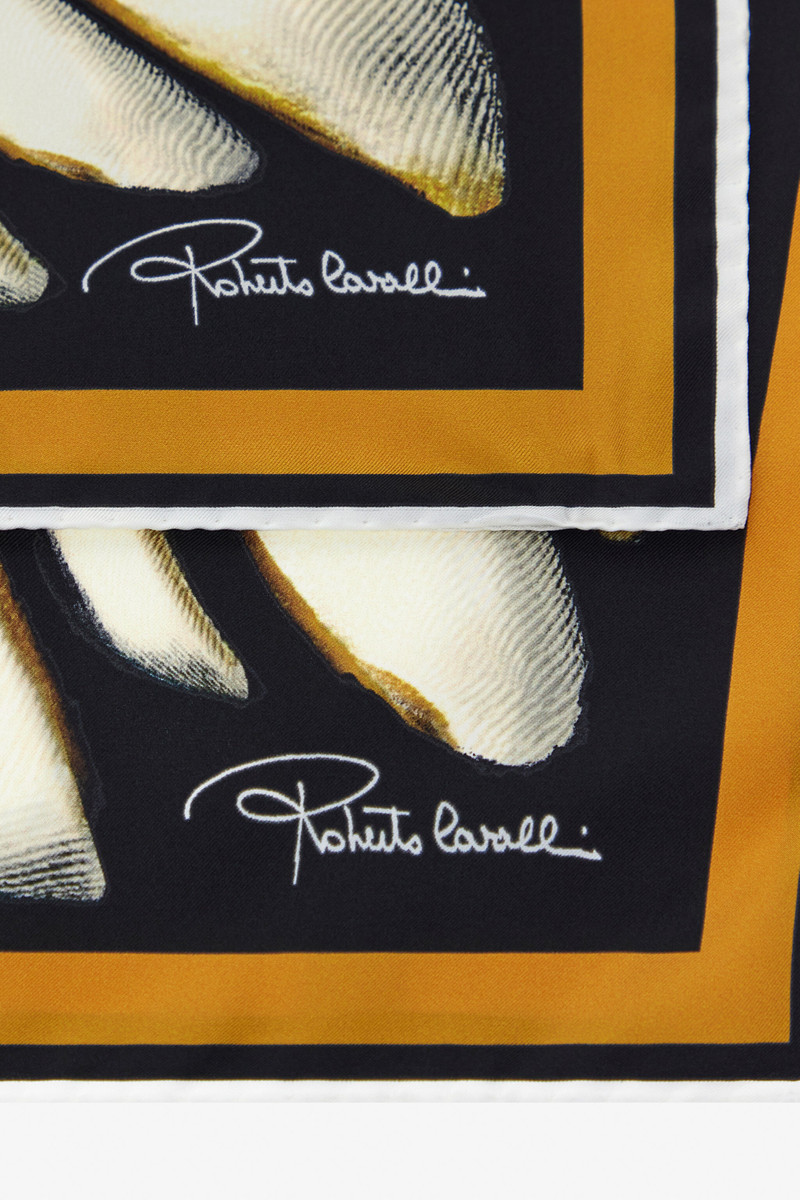 Roberto Cavalli Ray of Gold Print Scarf outlook