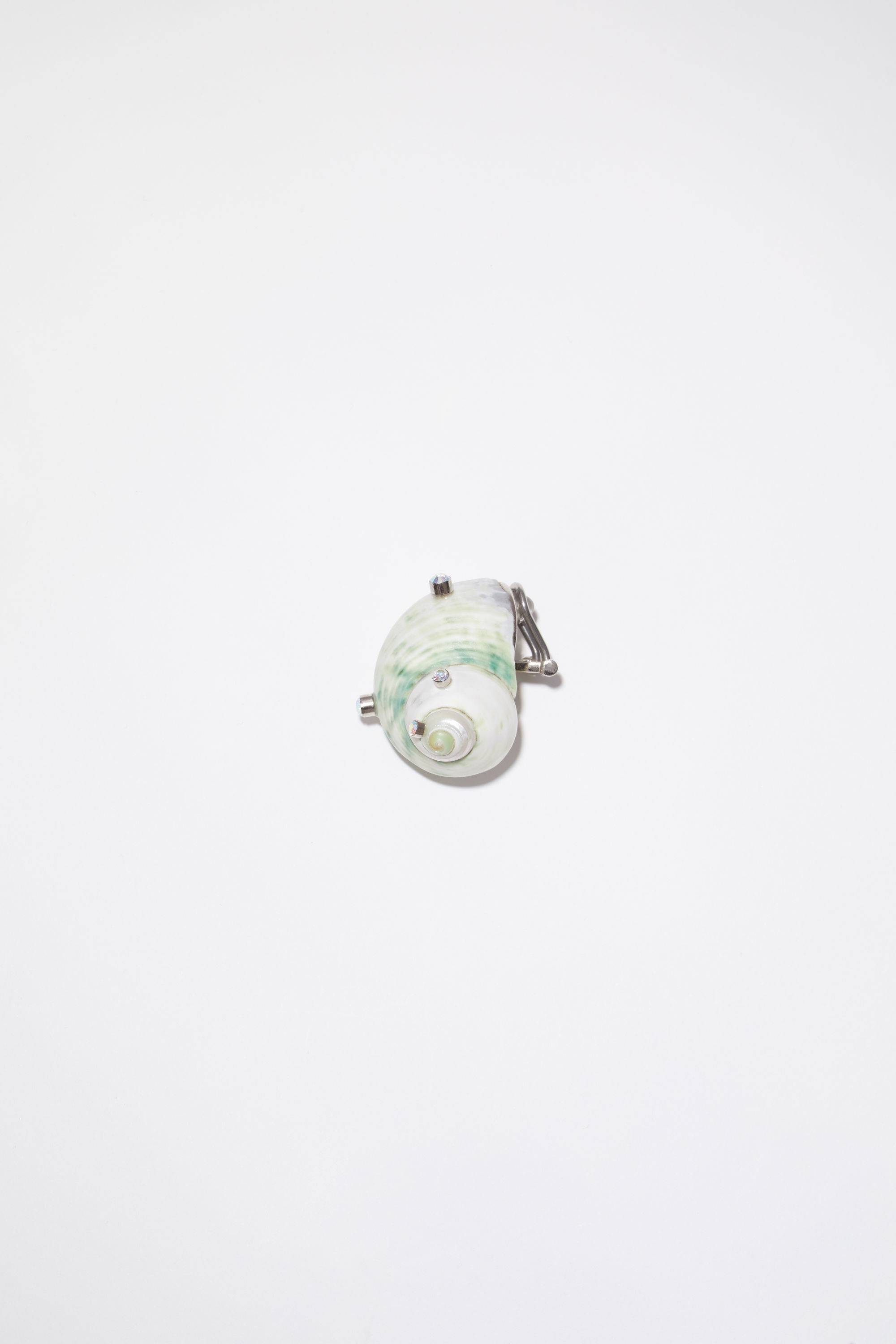 Shell earring - Transparent - 4