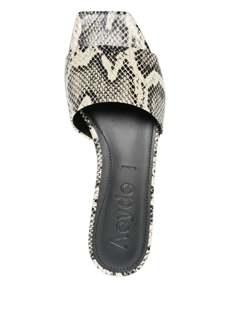 Anna flats - 4