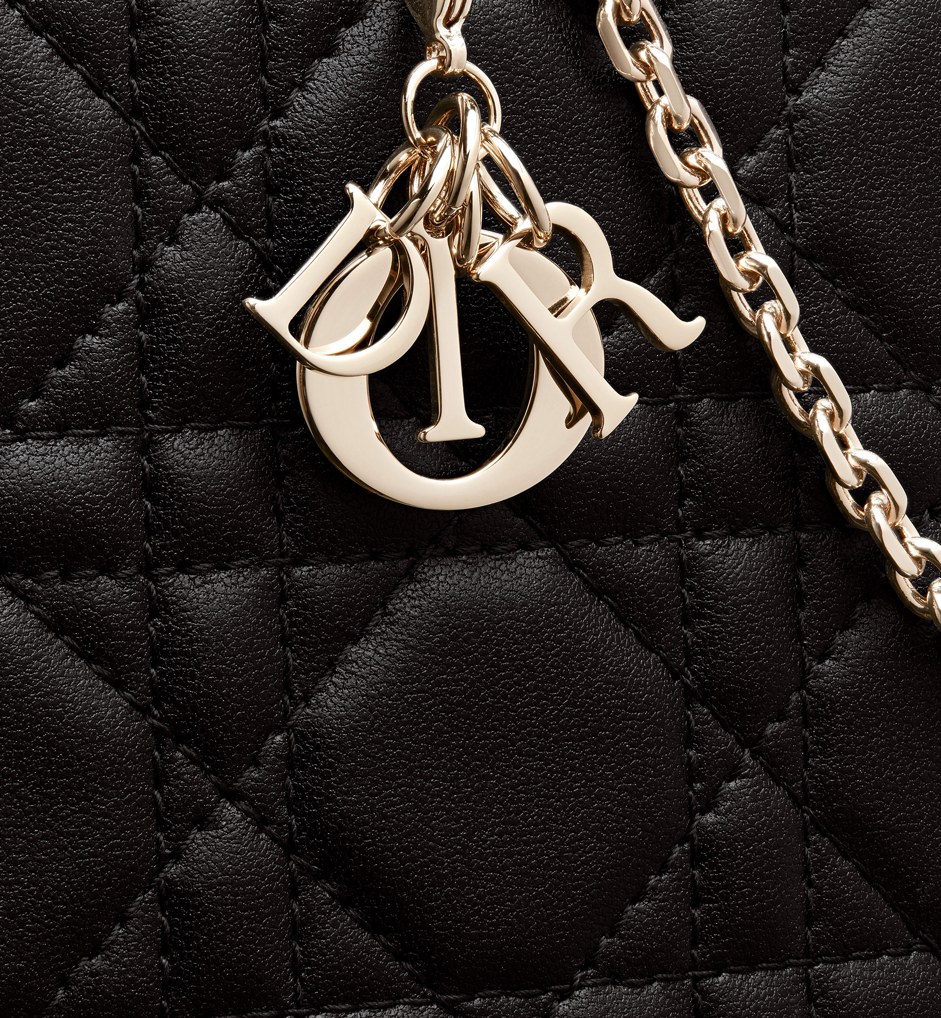 Lady Dior Phone Holder - 6