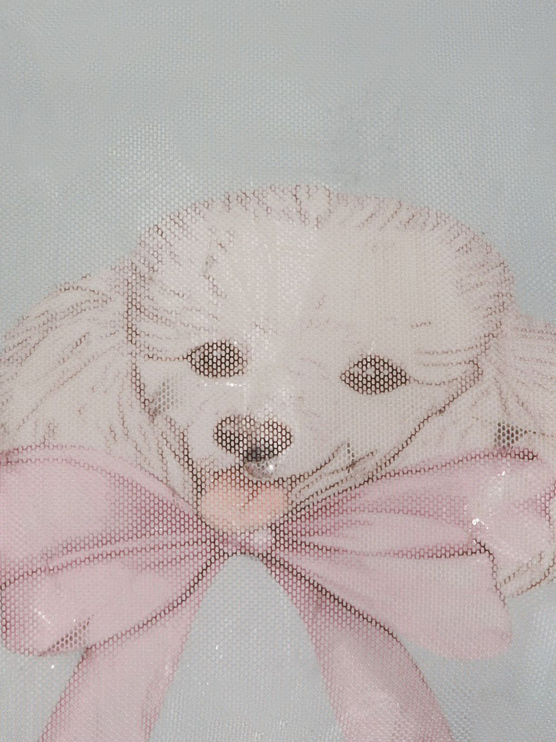 poodle-printed tulle long-sleeved t-shirt 7