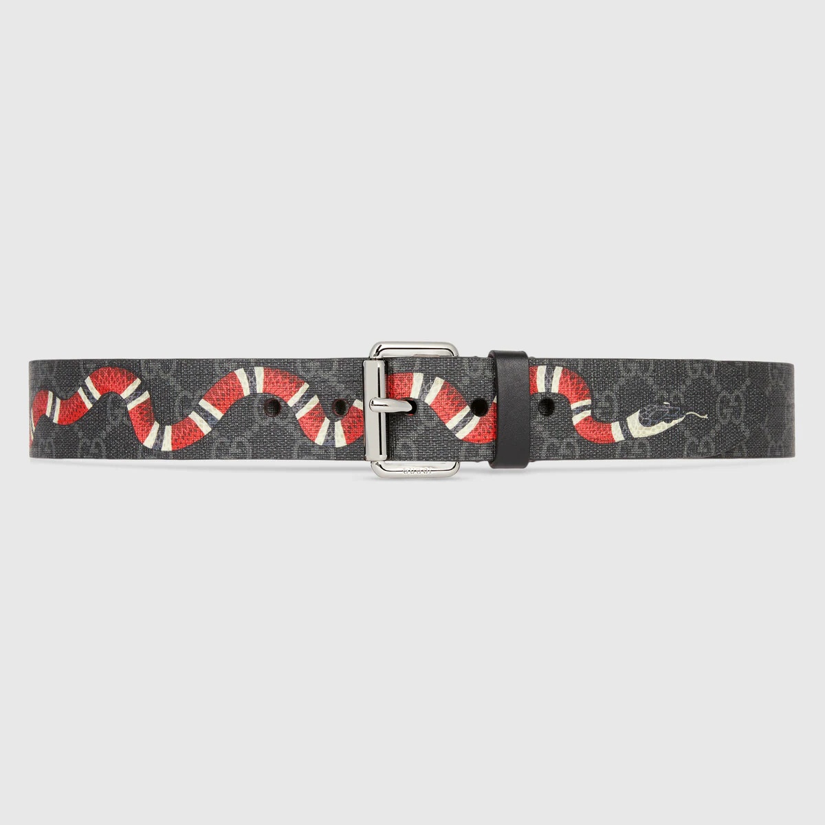 GG belt with Kingsnake print - 1