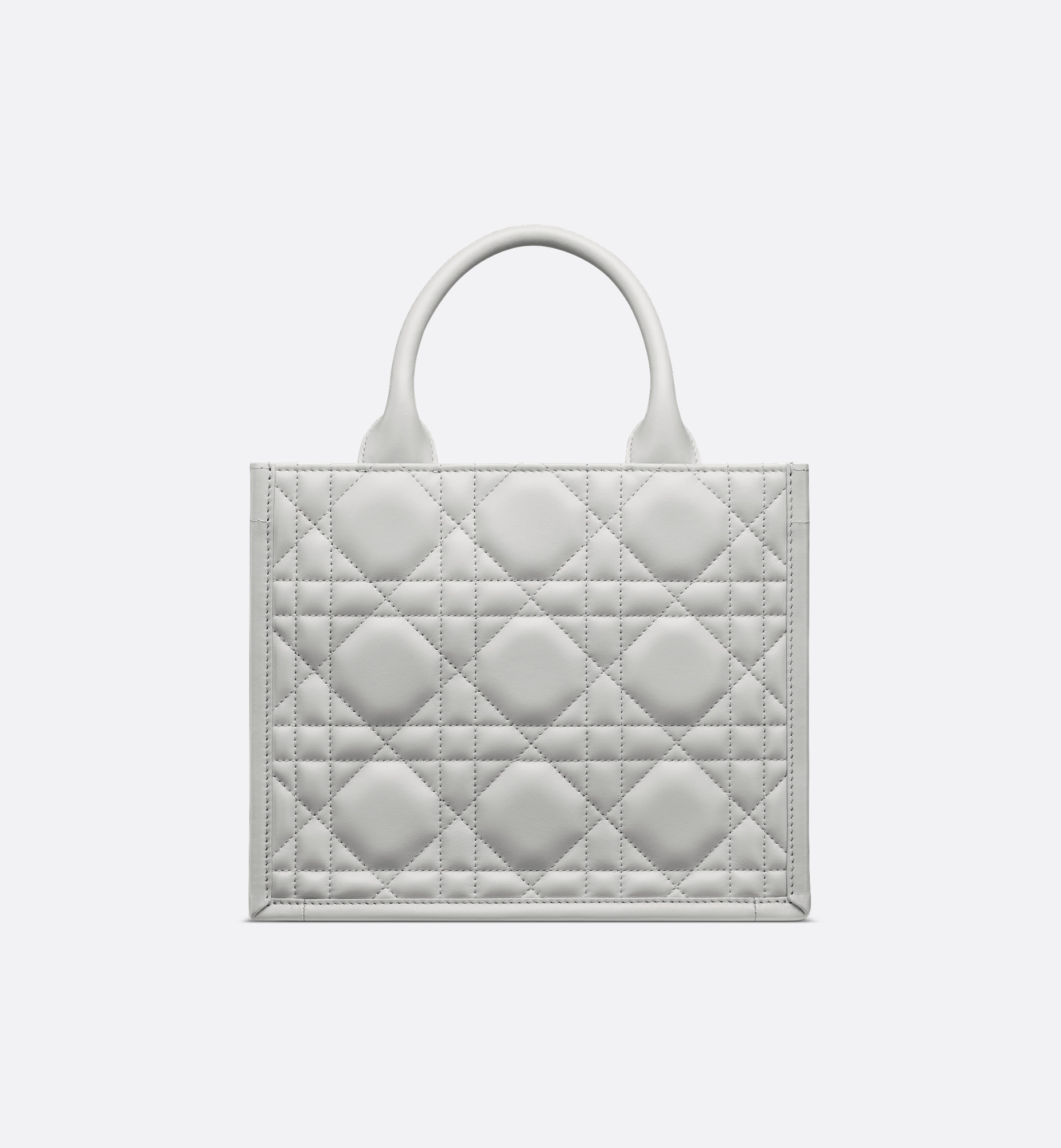 Small Dior Book Tote - 2
