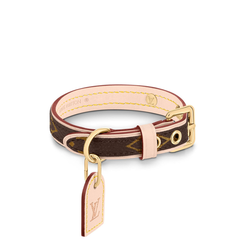 Louis Vuitton Collar XS outlook