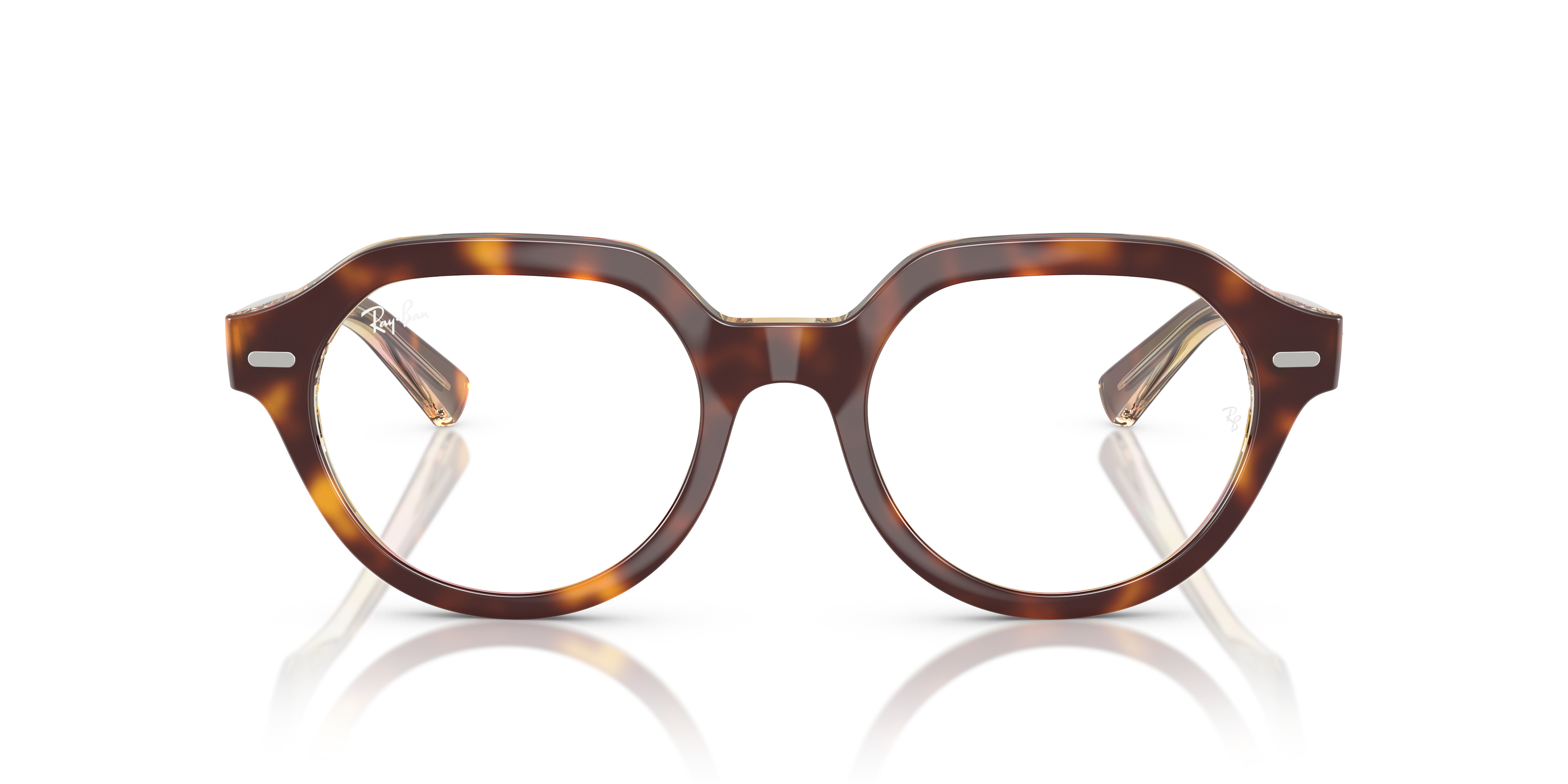 GINA OPTICS - 4