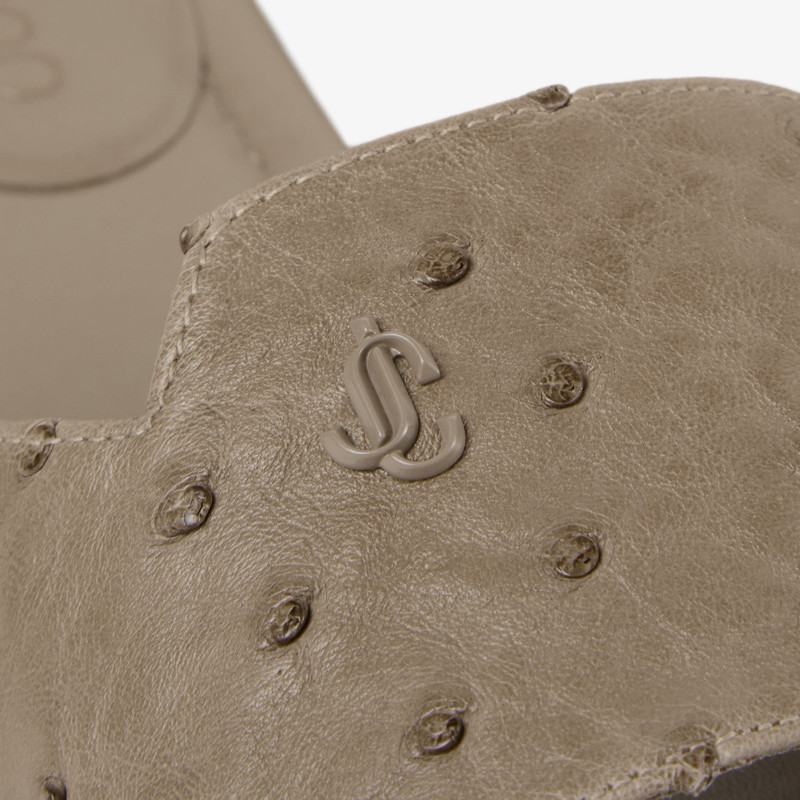 Dina Flat Taupe Ostrich Leather Flats 4