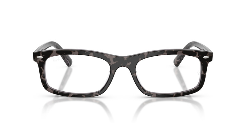 RB5450 OPTICS 4