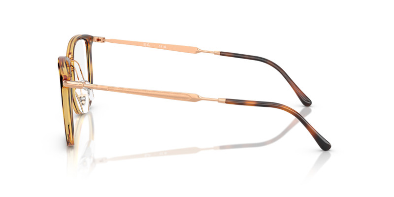 RB4451V OPTICS 5
