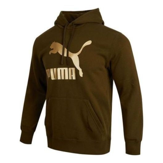 PUMA Classics Metallic Regular Fit Hoodie 'Brown' 537678-62 - 1