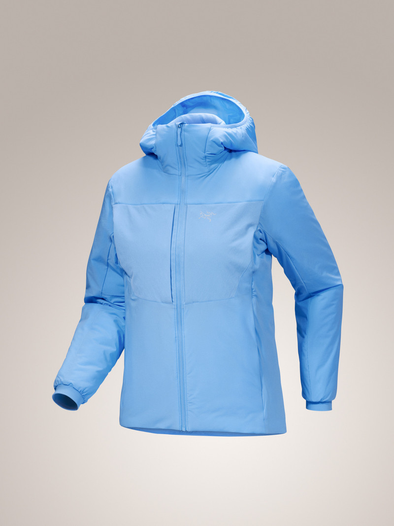 Proton Heavyweight Hoody 10