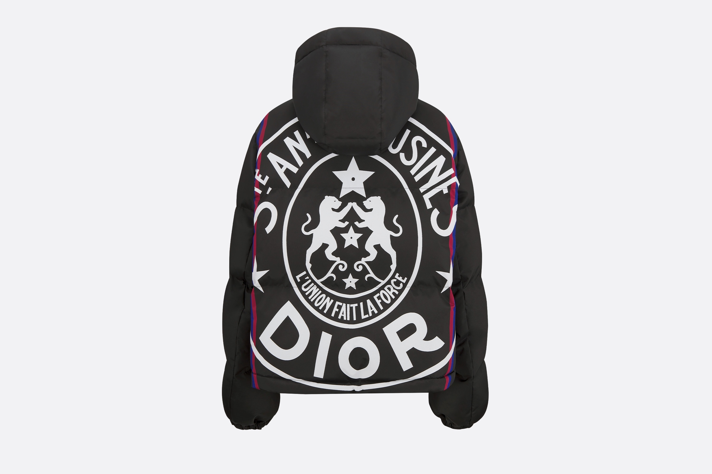 DiorAlps Hooded Puffer Jacket - 2
