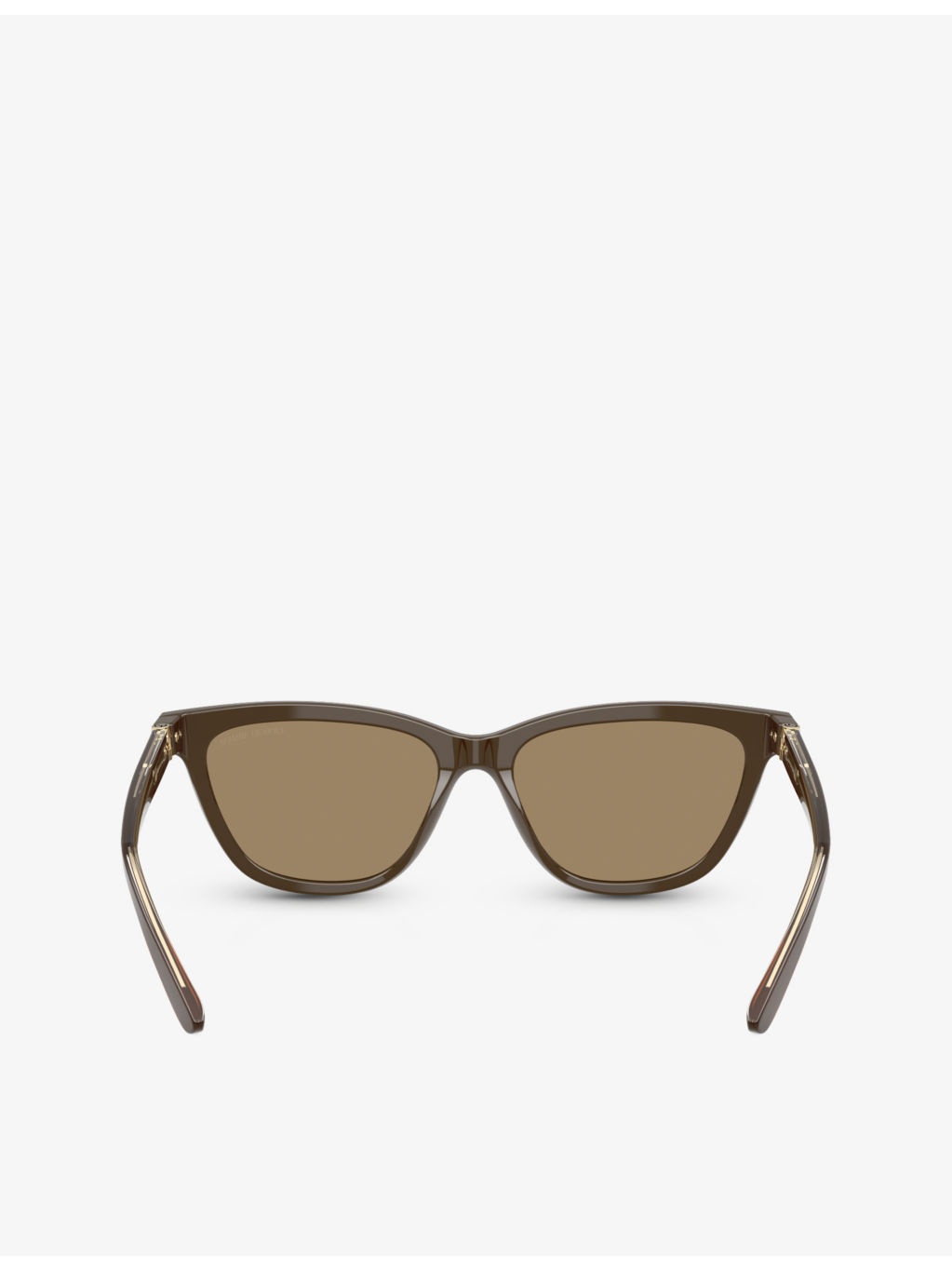 AR8221 Cat-Eye Acetate Sunglasses - 4