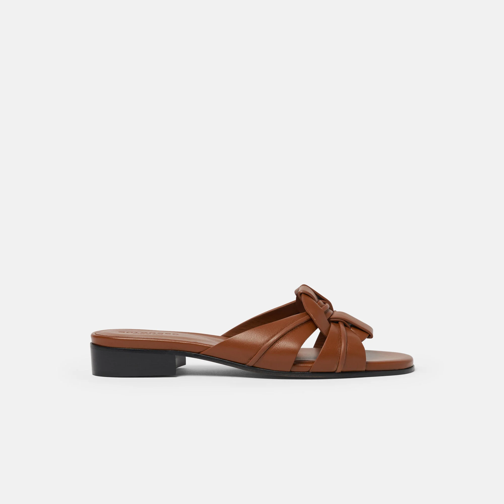 Anna Cuir - 1