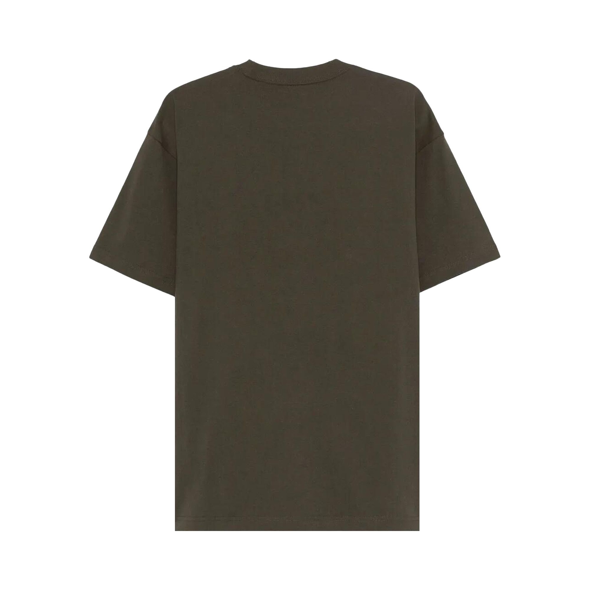 Carhartt WIP Short-Sleeve Big Time T-Shirt 'Fossil' - 2