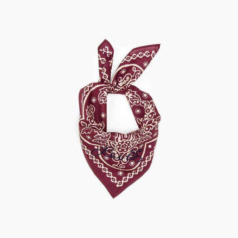 ELEVATED PAISLEY BANDANA 1