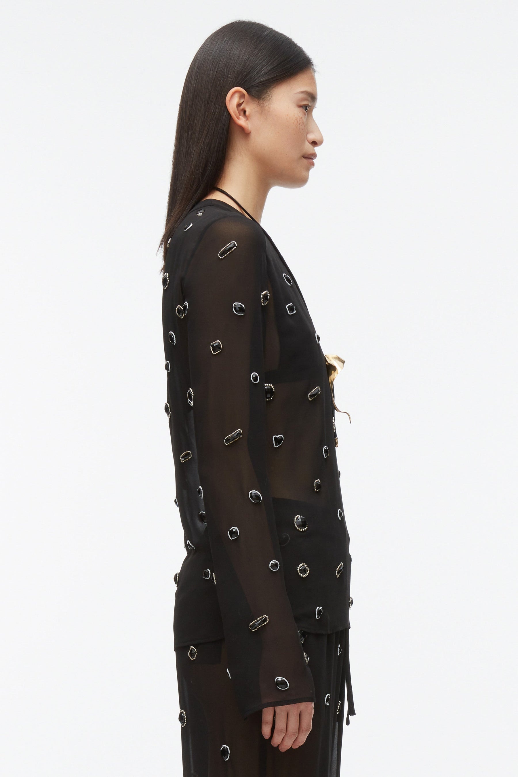 Halo Embroidered Chiffon Long Sleeve Top - 5