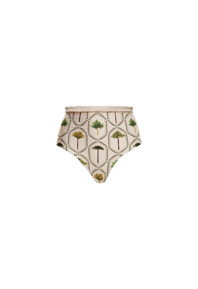 Nopal Arboleda Bikini Bottom 1