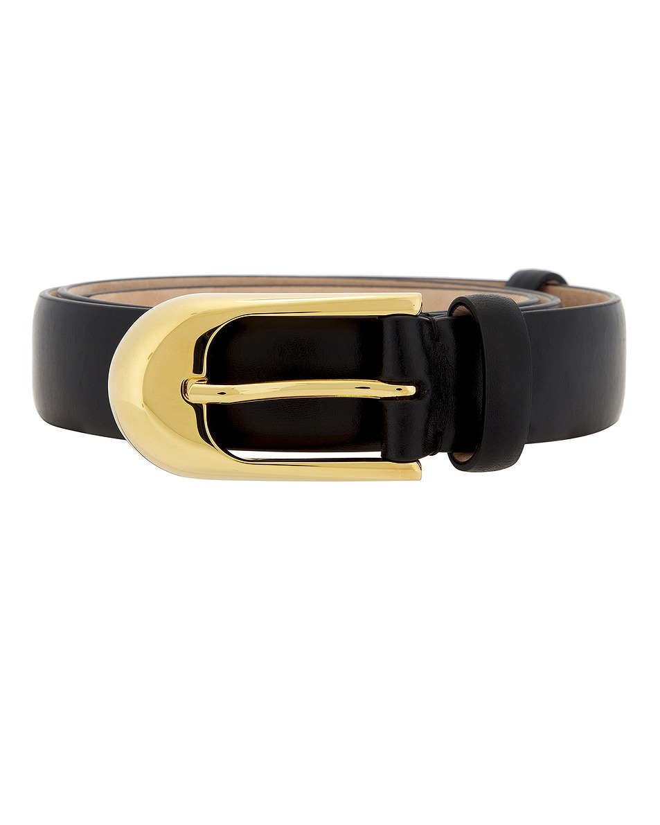 Dome 25mm Belt - 3