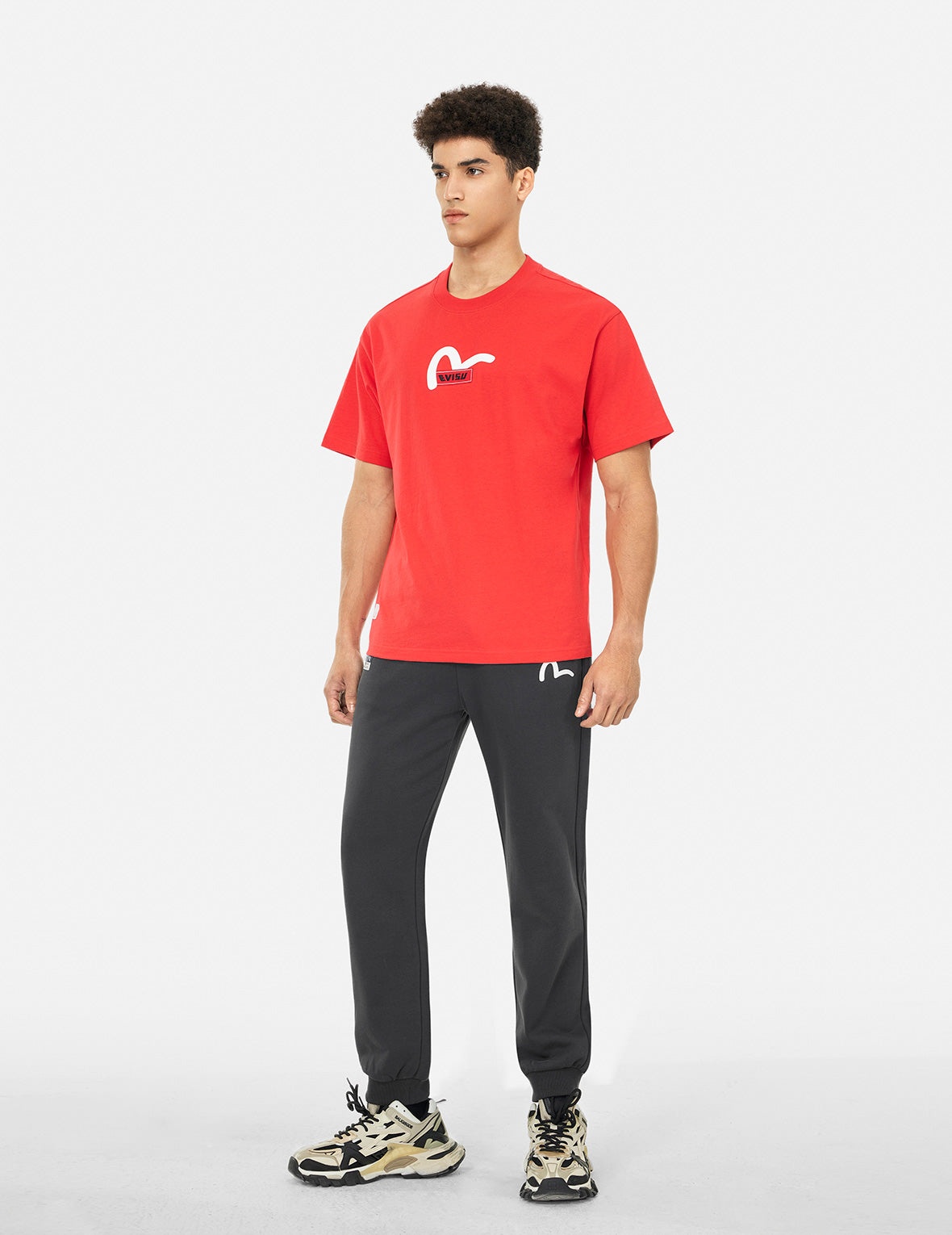 Spray-dyed Seagull and Logo Print Straight Fit Sweatpants - 4