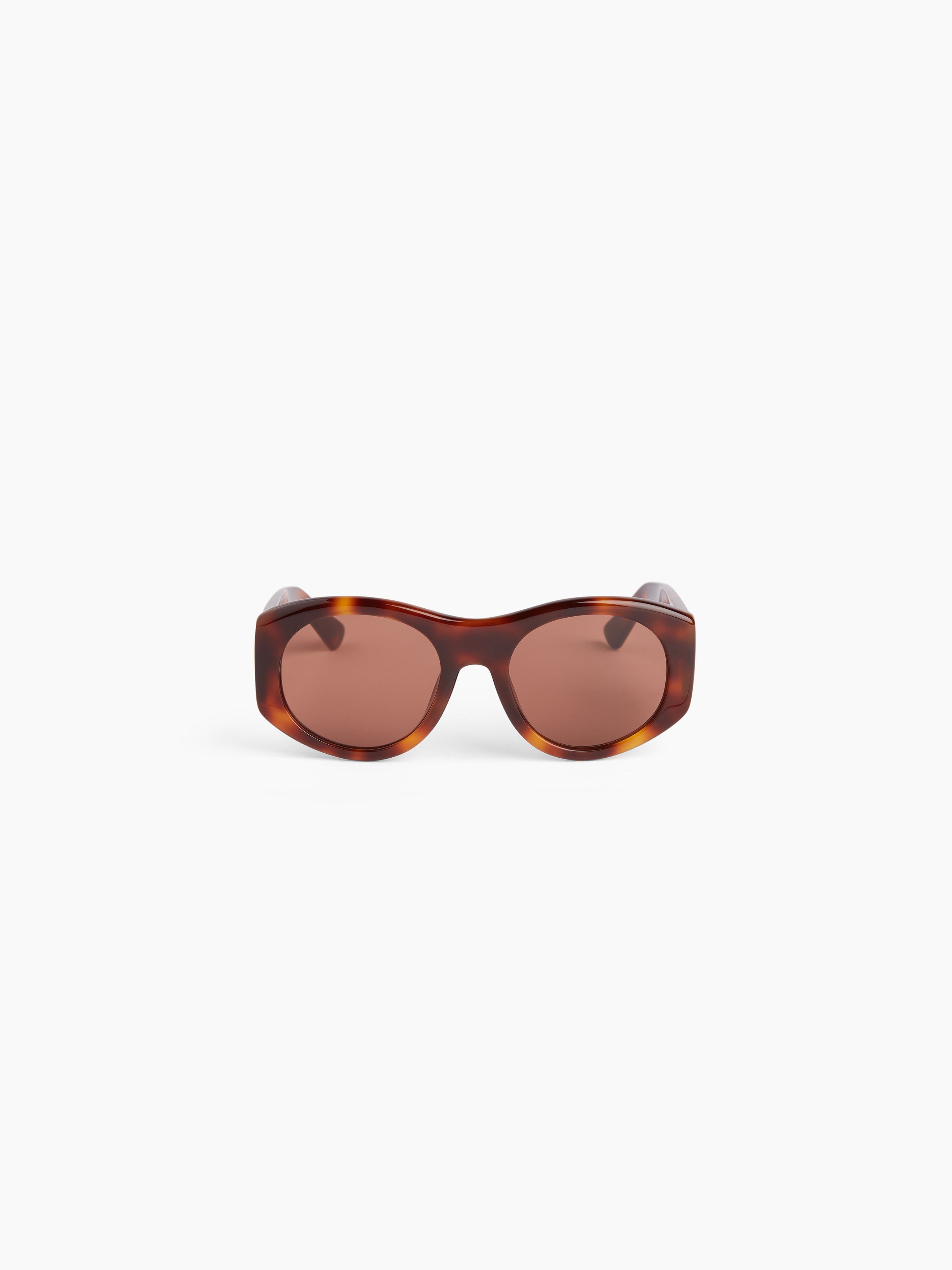 Full Moon round shiny havana Sunglasses - 1