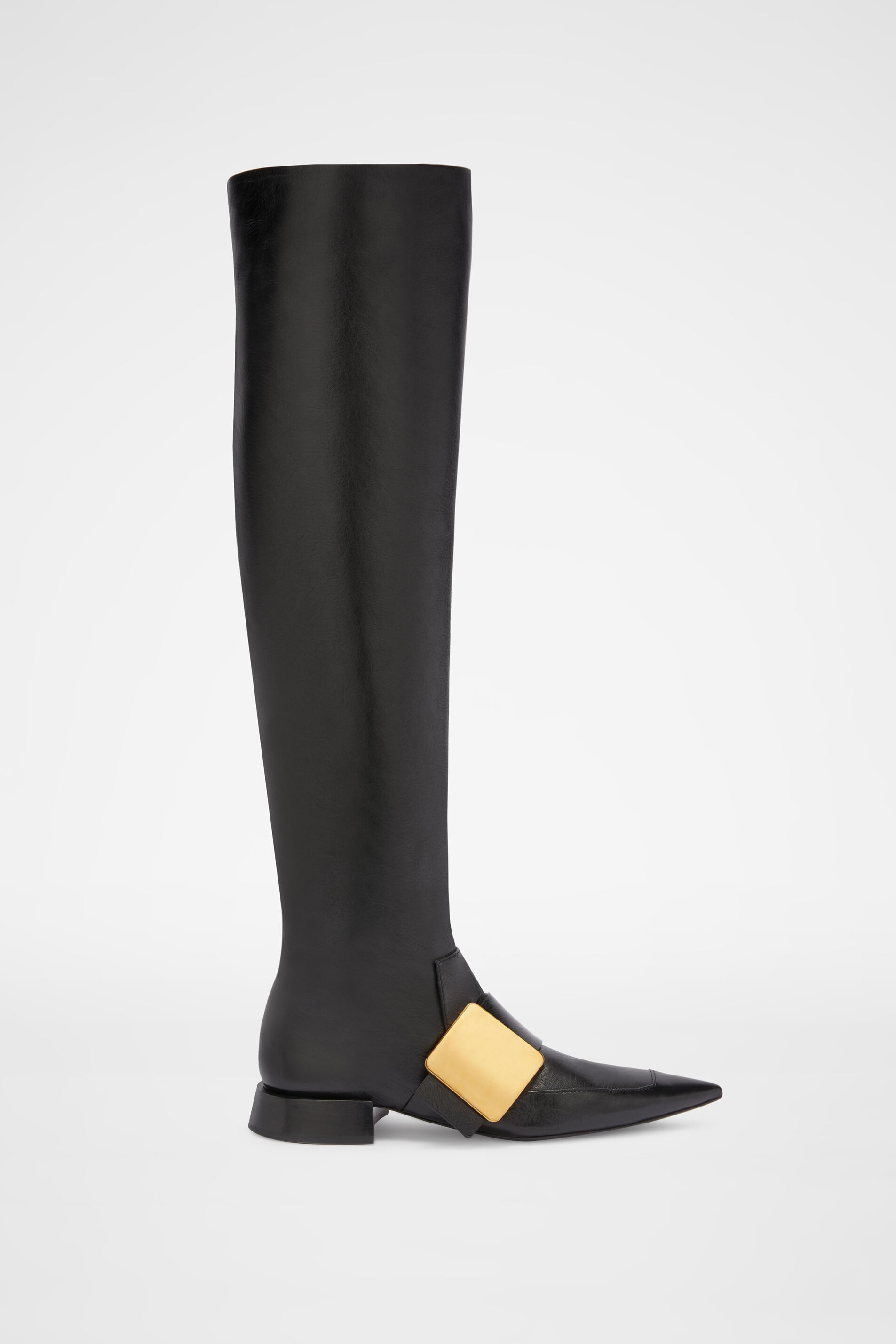 Knee Boots - 1