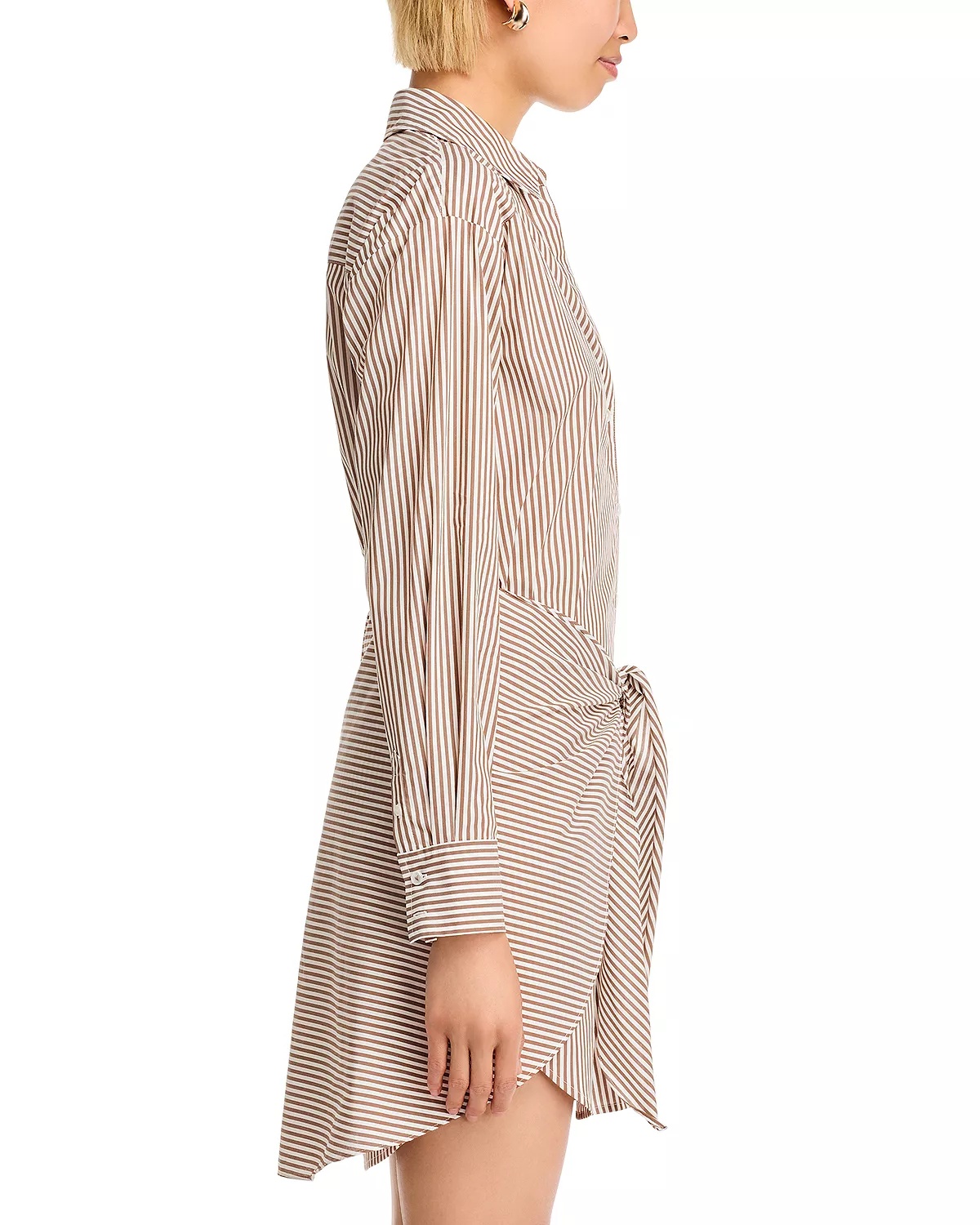 Roanoke Striped Tie Waist Shirt Dress - 5