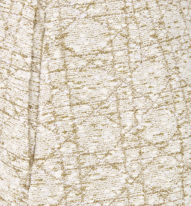 Dior Or Macrocannage Miniskirt 6