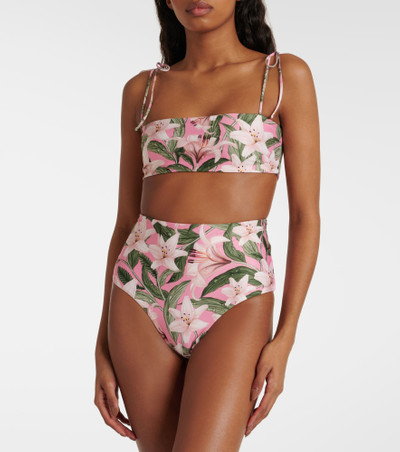 Agua by Agua Bendita Magenta floral high-rise bikini bottoms outlook