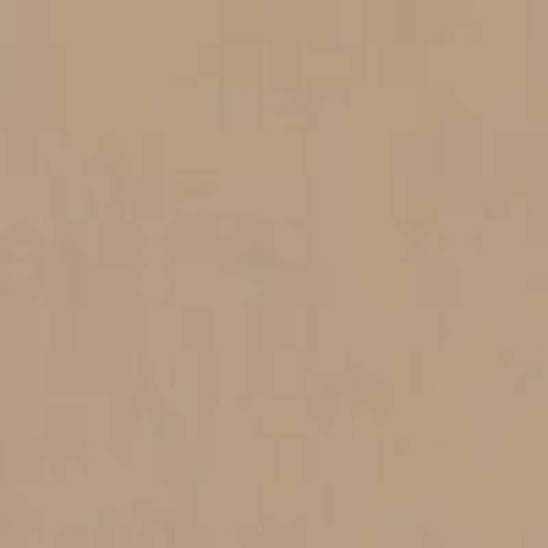 Gerhardt Short in Nylon 5