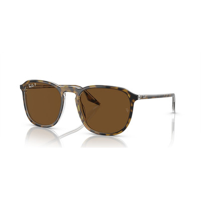 Ray-Ban RB2203 outlook