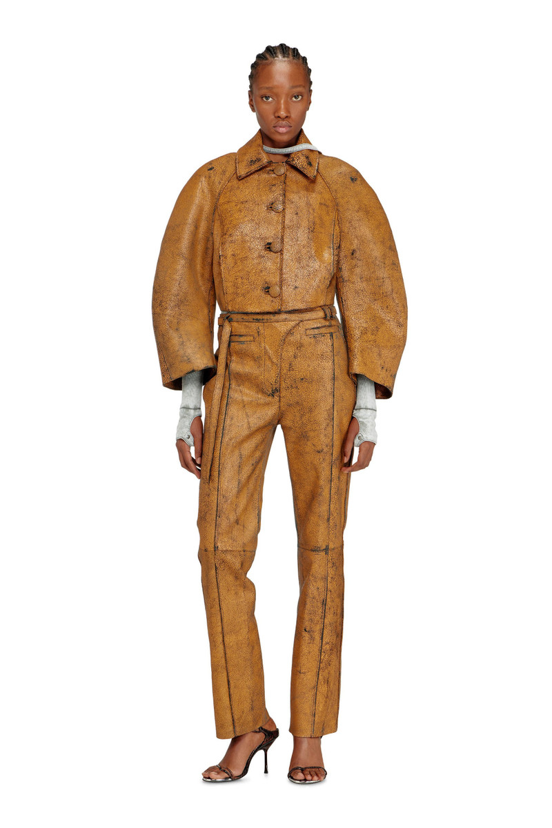 Diesel L-RAYA outlook