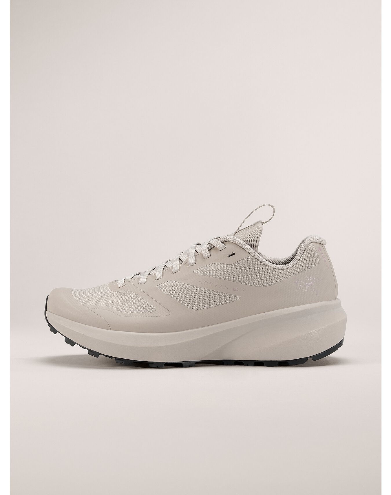 Norvan LD 3 GTX Shoe - 1