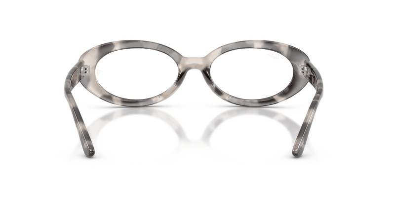 RB2223V OPTICS 6