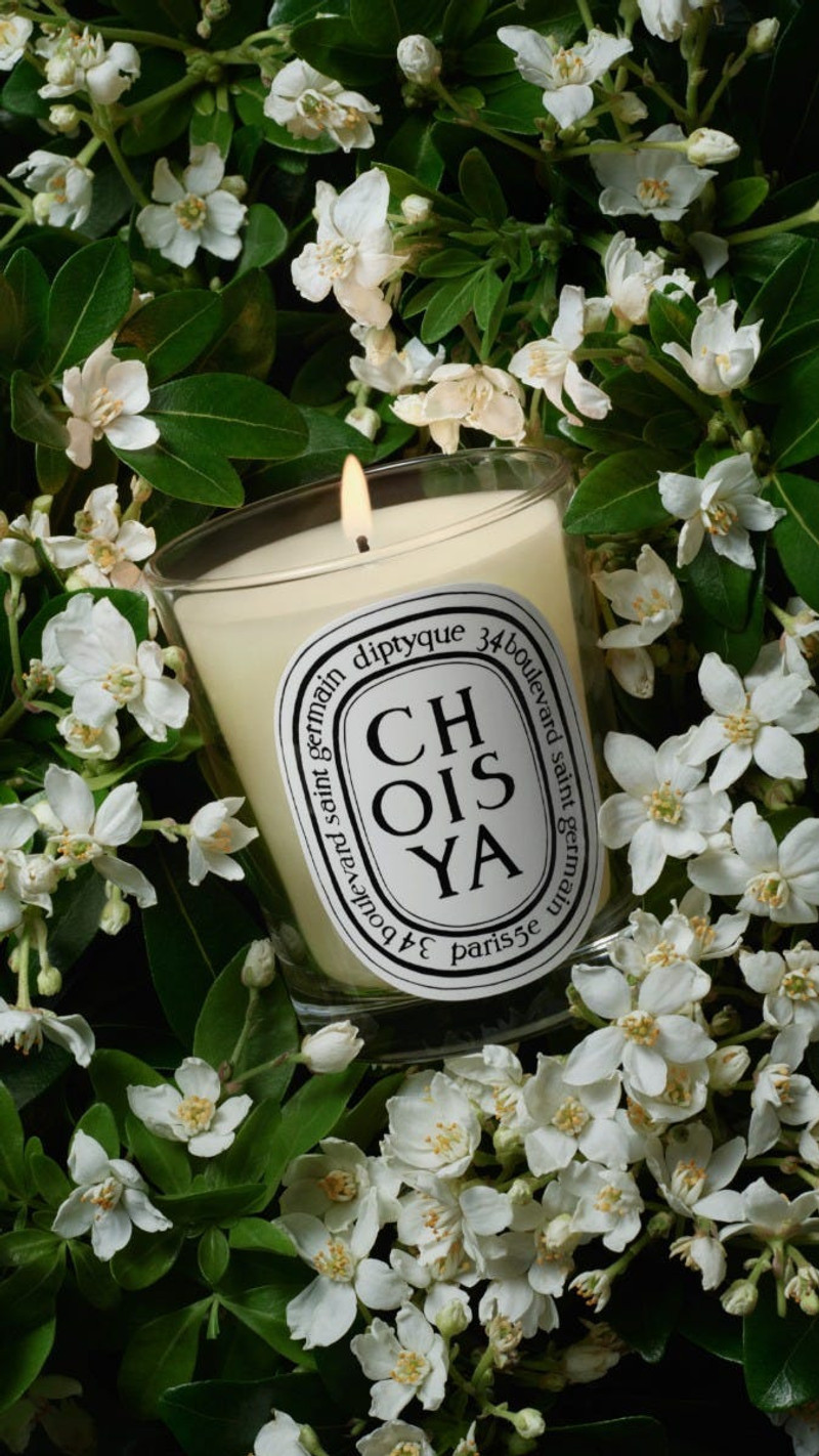 Choisya (Orange Blossom) - Classic Candle 5
