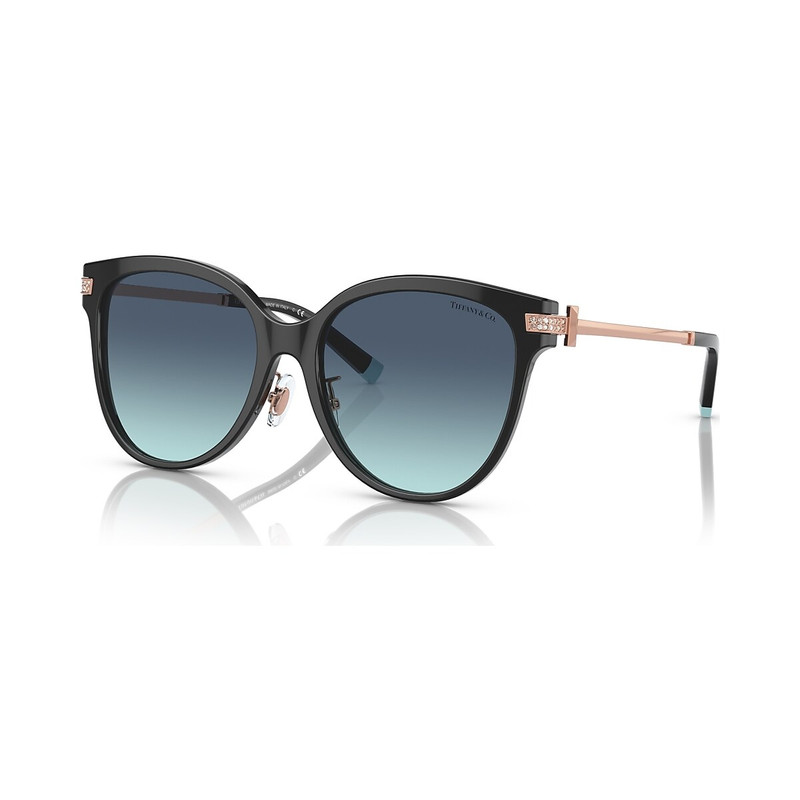 Tiffany & Co. TF4193BF outlook