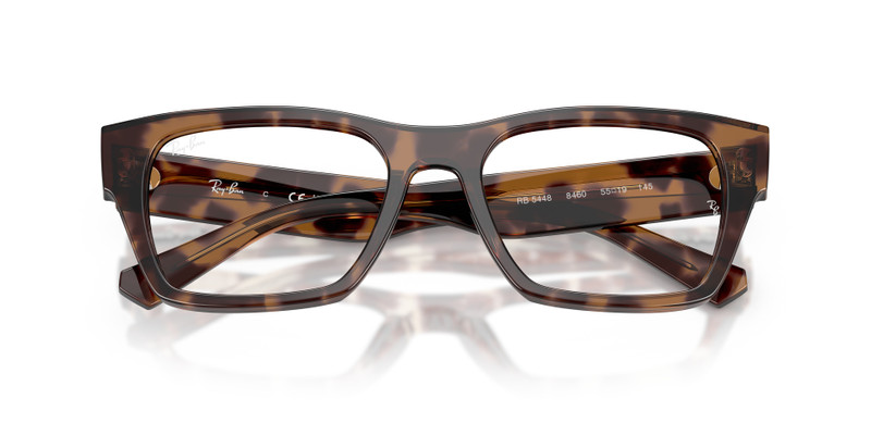 RB5448 OPTICS 5