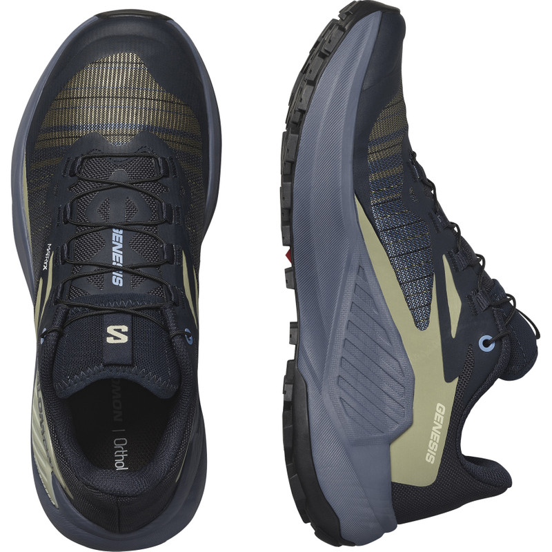 SALOMON GENESIS outlook