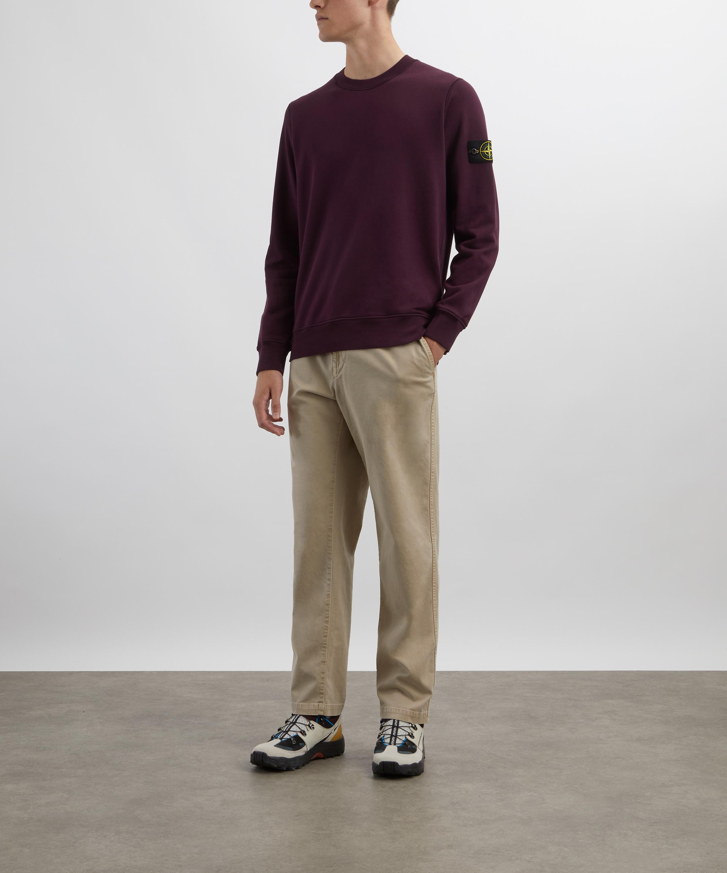 Cotton Fleece Crew-Neck Sweatshirt - 2