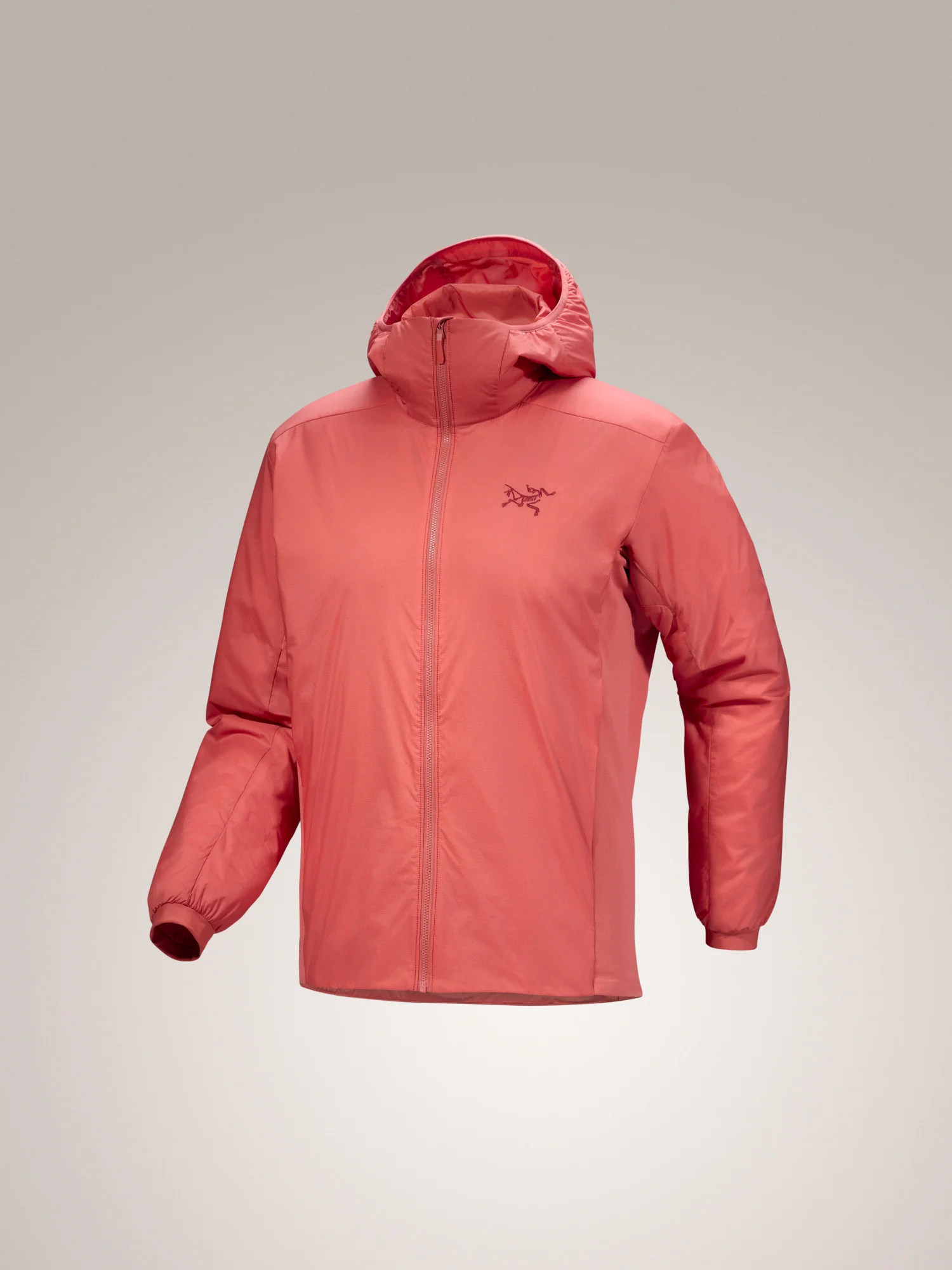 Atom Hoody - 1